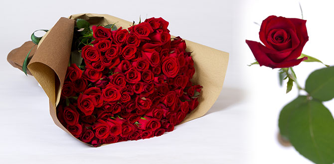 真紅のバラの花束と名前ポエム｜還暦祝やプロポーズ