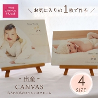 ���� �ʐ^1�� �t�H�g�t���[�� �L�����o�X �{�[�h �Ԃ����