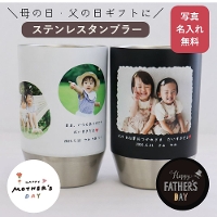 ��̓��ɑ���w������ʐ^�̃X�e�����X�^���u���[�x