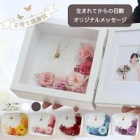 �t�����[�A�����W���v�E�t�H�g�t���[���@�u�G�����[���v���������e����